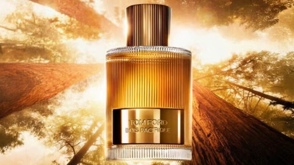 Father's Day fragrances 2025