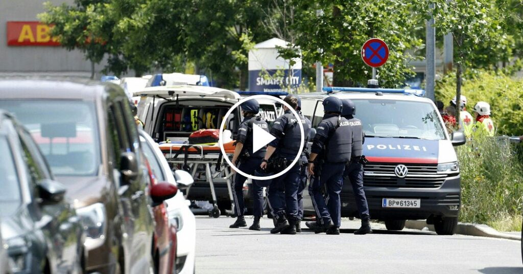 Former Student Kills At Least Nine People in Austria School Shooting