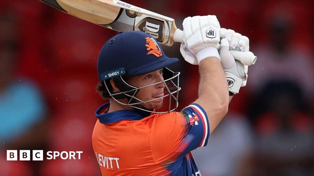 Netherlands' batter Michael Levitt