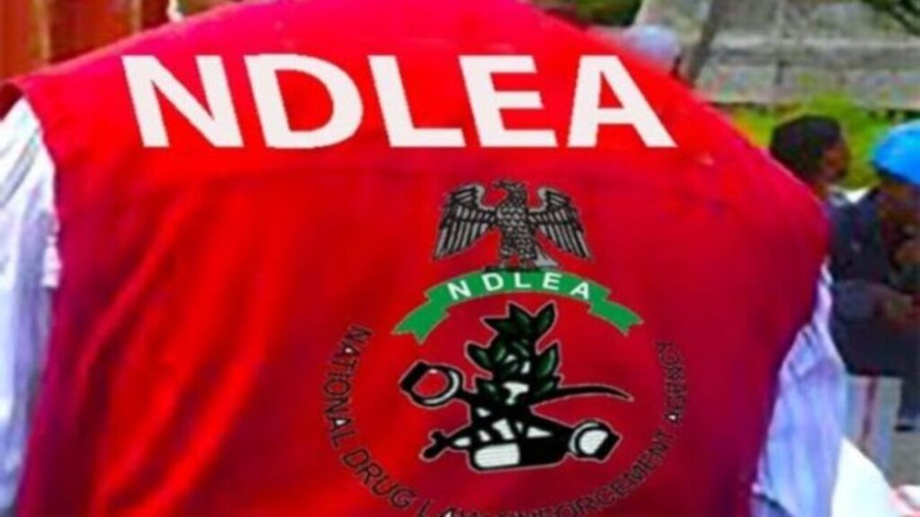 NDLEA