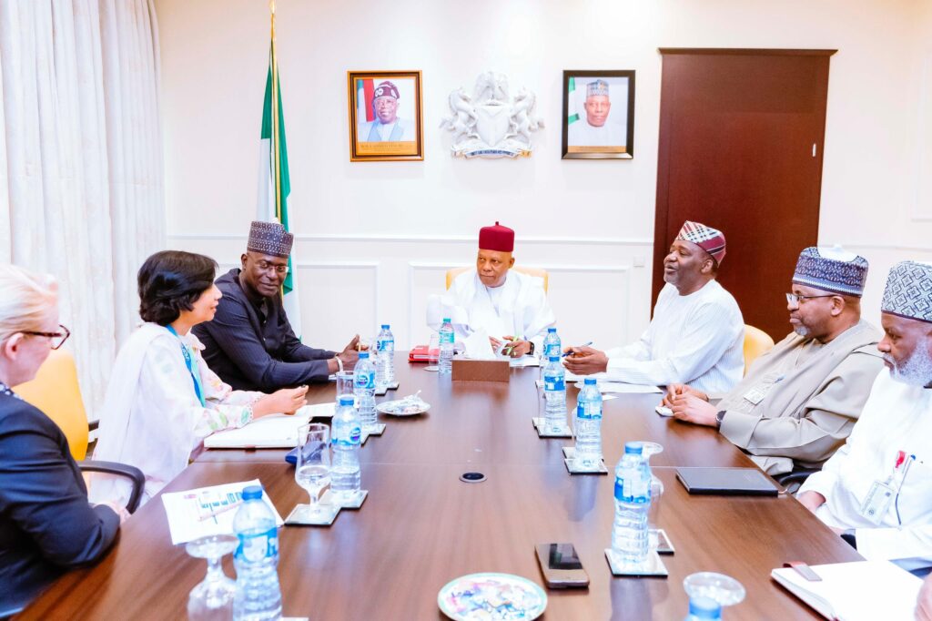 Nigeria, UNICEF partner to train 20m youth in digital skills by 2030