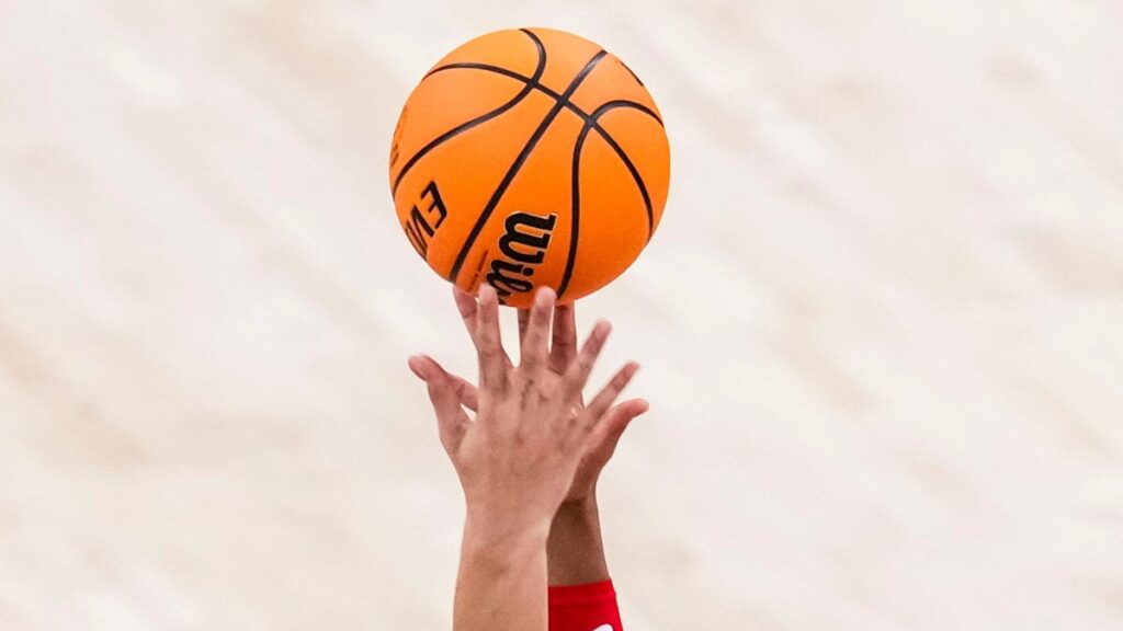 Ohio State basketball adds European shooting guard to roster
