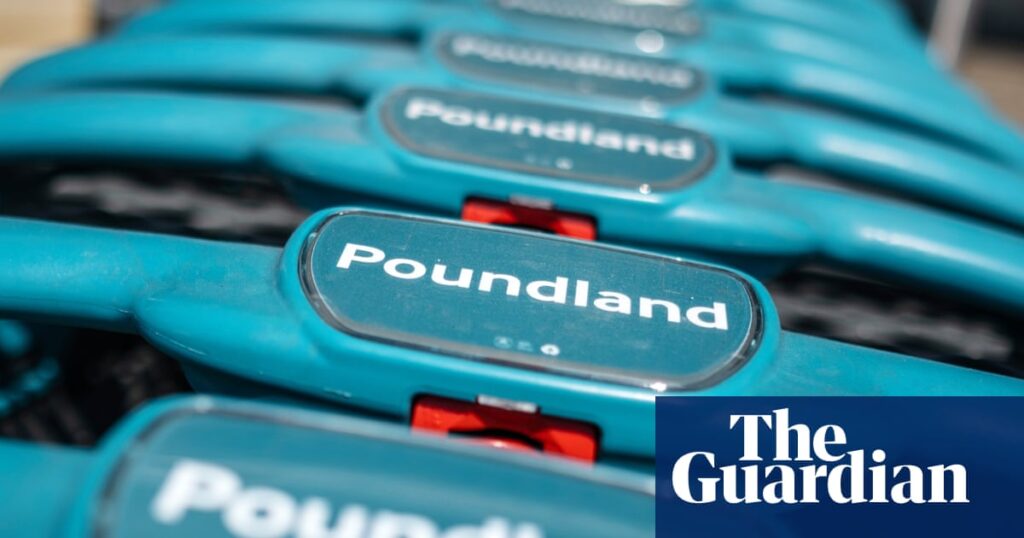 ‘Not an attractive place to shop’: how Poundland lost its appeal to shoppers | Poundland