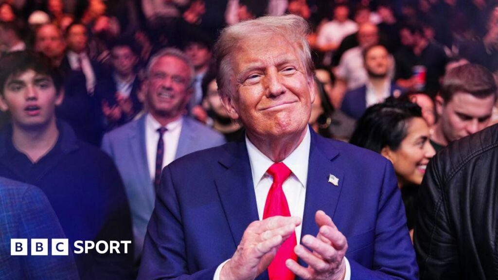 Donald Trump at UFC 309 in November
