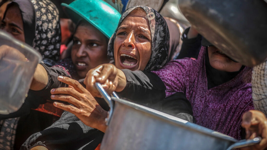 “Every single person in Gaza is starving” | TV Shows