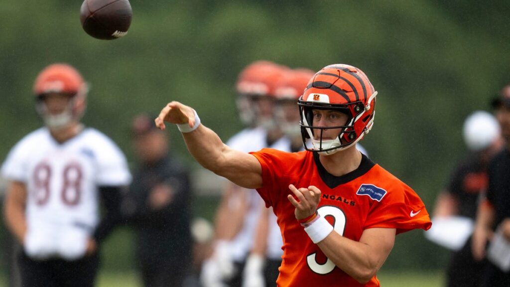 Joe Burrow gets his flowers from NFL personnel in QB poll