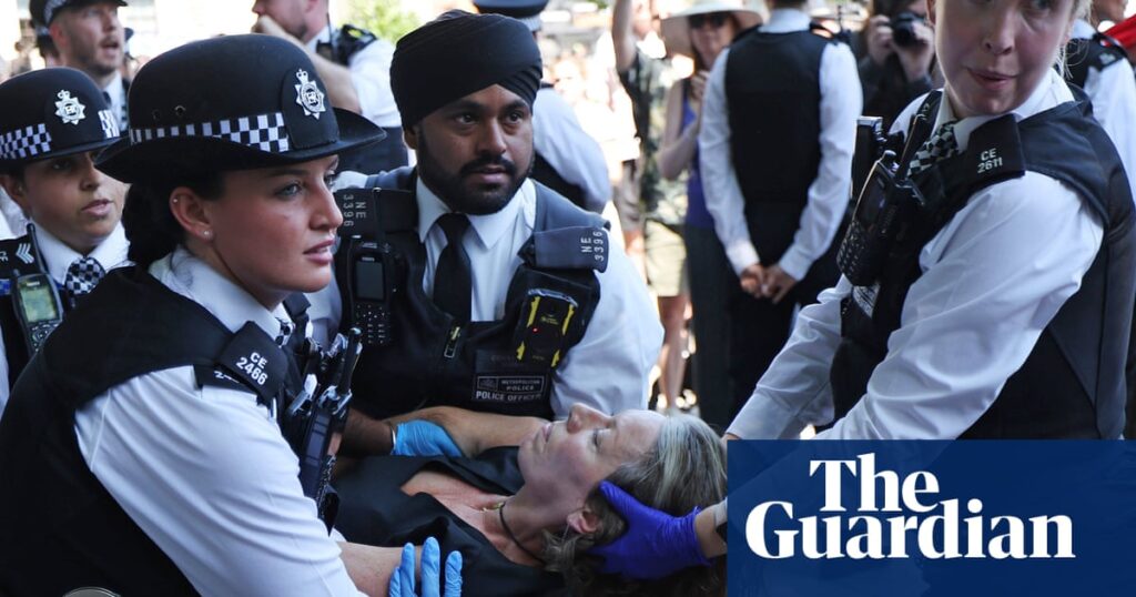 Met again arrests protesters for allegedly holding signs supporting Palestine Action | UK news
