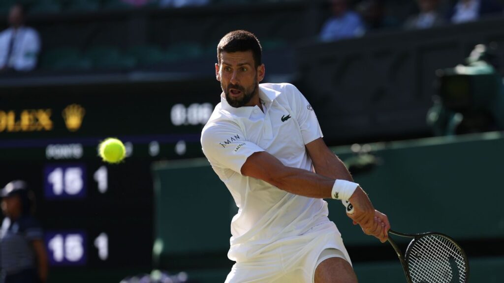 Novak Djokovic: 'Hopefully' not my last match at Wimbledon
