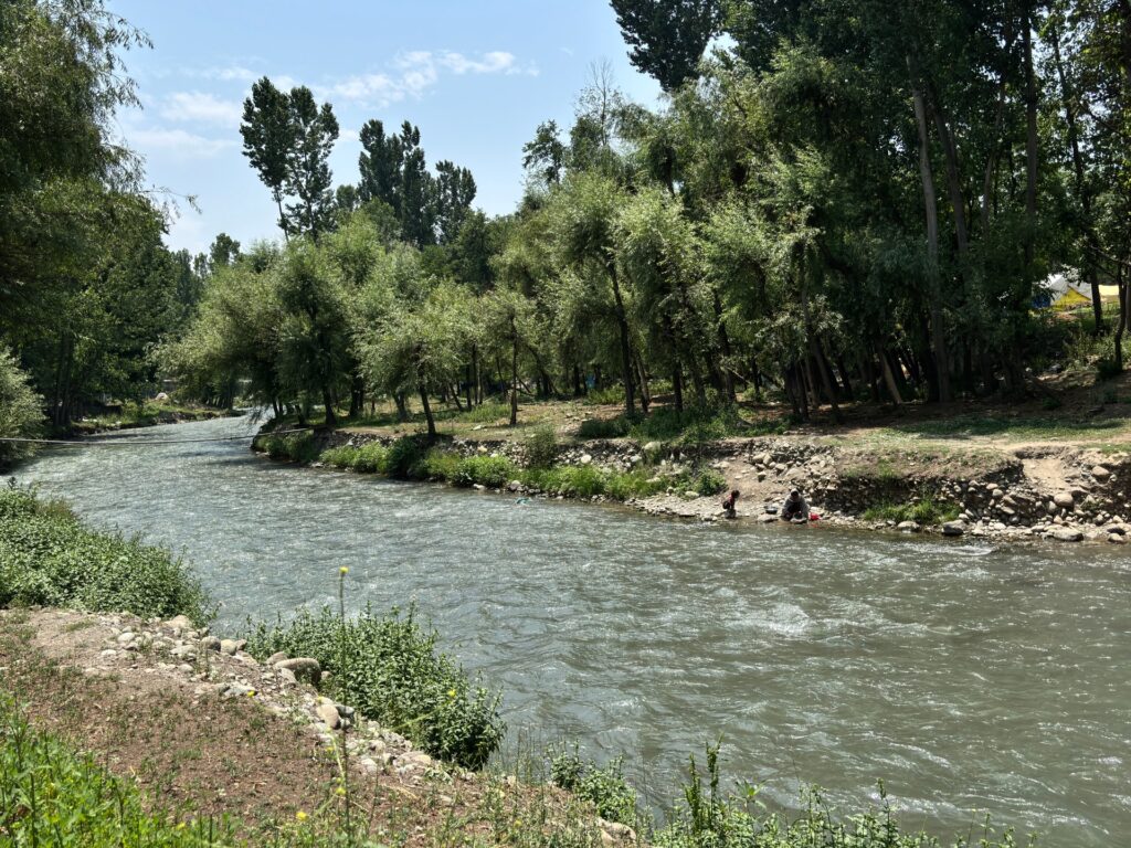 Otters spotted in Kashmir waters, and residents are both thrilled and wary | Wildlife News