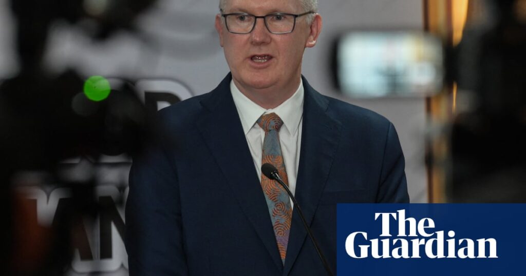 Sydney family of detained Palestinian woman plead with home affairs minister over visa cancellation | Sydney