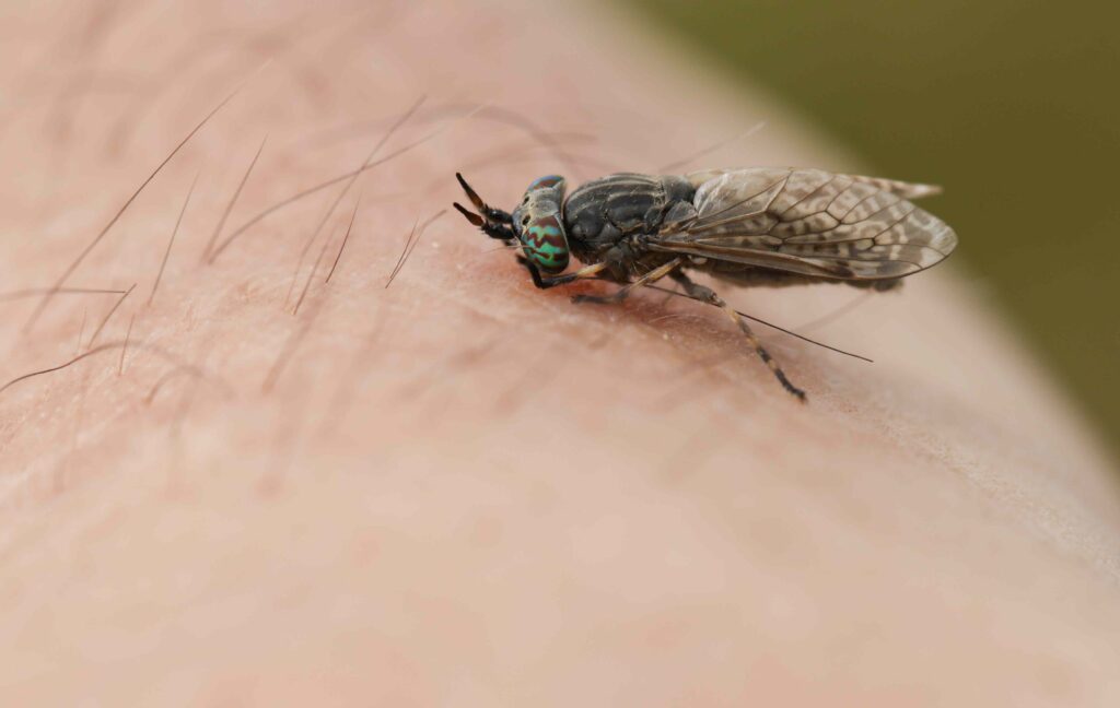 Symptoms, Treatment, Prevention, and More