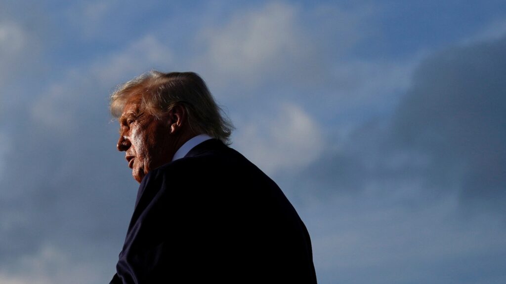 Trump blasts 'stupid' and 'foolish' Republicans amid calls to reveal more Epstein files