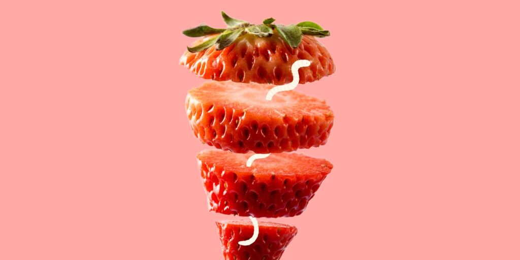 Are Those Squiggly White Things in Your Berries Actually Worms?