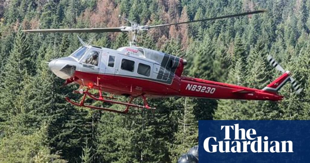 Democrats seek ‘immediate answers’ after reported arrests of firefighters by US border agents | Washington state