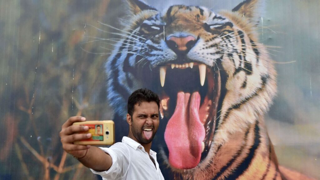 Don't let a selfie be the end of you