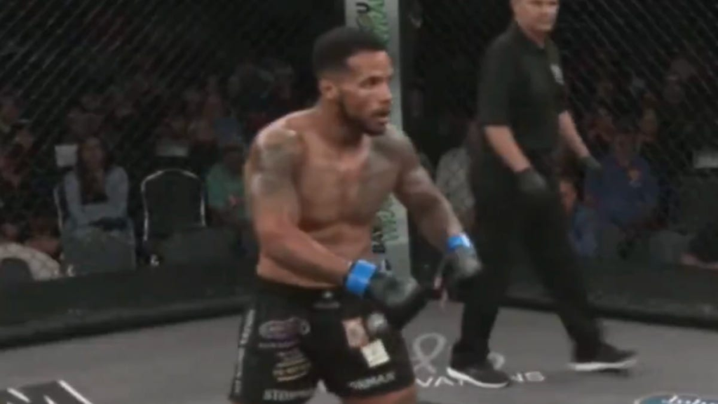Fighter does Max Holloway point down, gets brutally knocked out