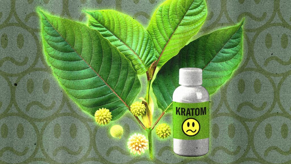 Here’s What Kratom, a.k.a. ‘Gas Station Heroin,’ Actually Does to Your Body