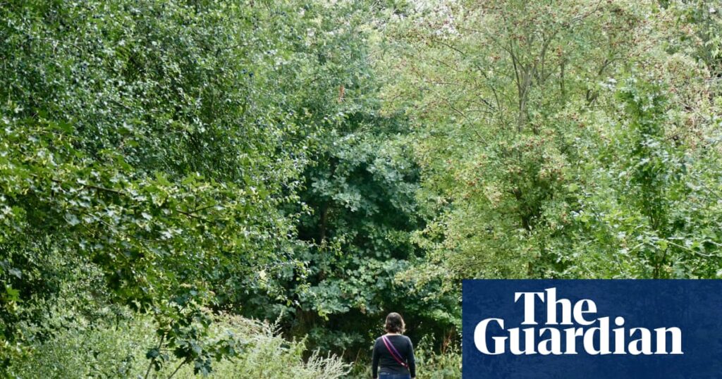 Human connection to nature has declined 60% in 200 years, study finds | Environment