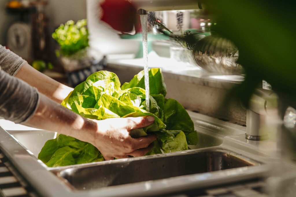 4 Healthiest Types of Lettuce That Are Packed With Nutrition