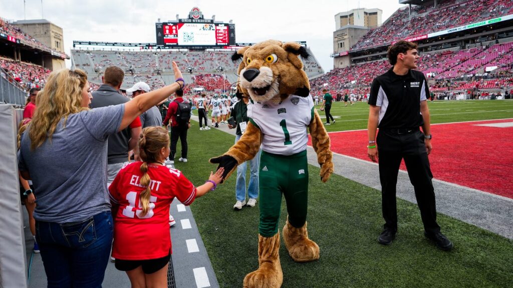 Brutus Buckeye, Rufus the Bobcat meet again
