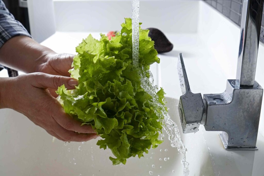 Does Washing Your Lettuce Actually Make It Safer to Eat?