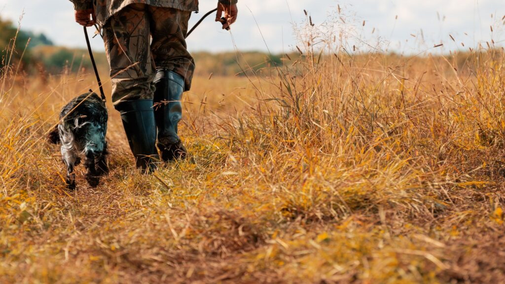 Here Are 5 Tips to Stay Safe While Hiking During Hunting Season