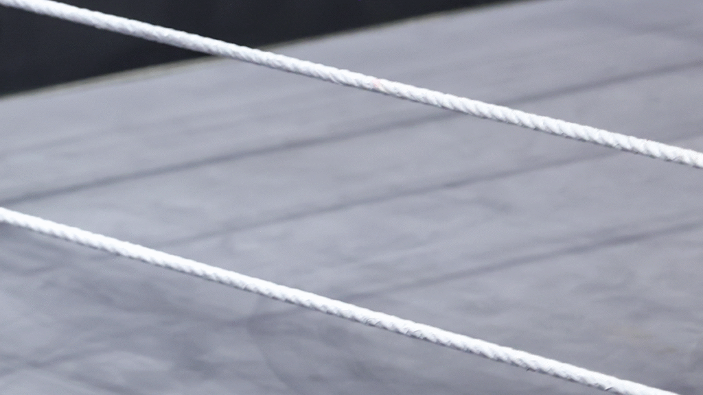 Raja Jackson arrested, facing felony assault charge for brutal attack on wrestler Syko Stu, per report