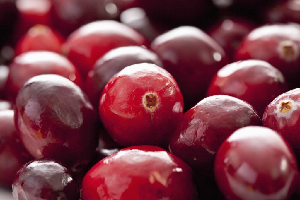 What Happens to Your Body When You Eat Cranberries Regularly