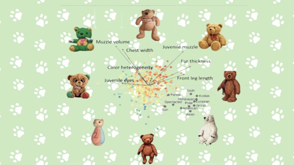 bears on a graph