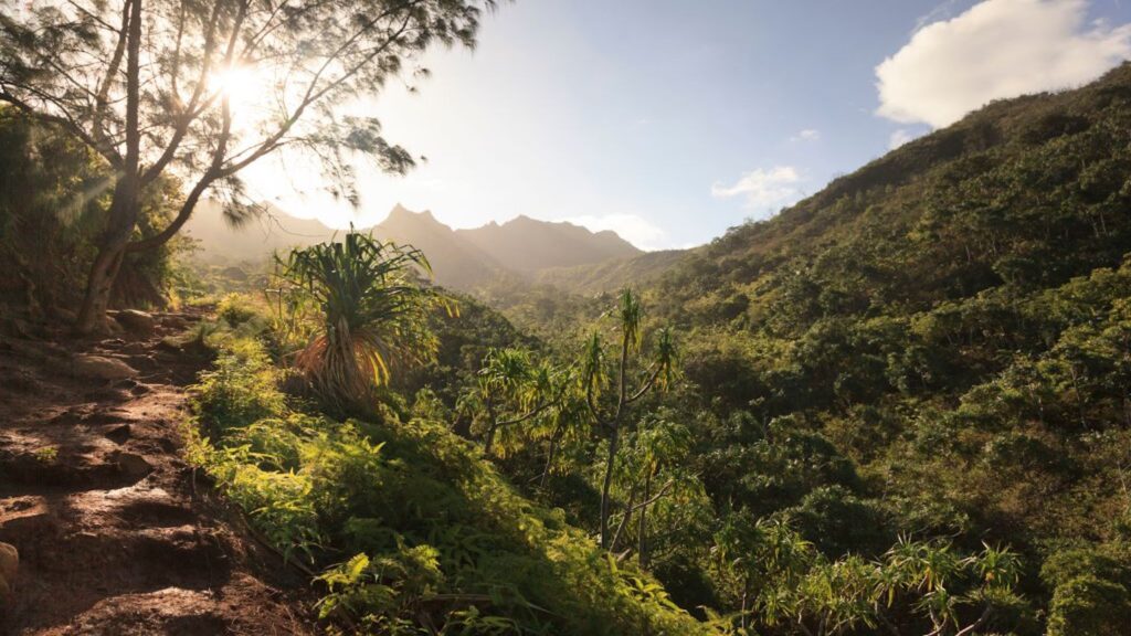 Spider Bite Triggers Helicopter Rescue on Remote Hawaiian Trail Na Pali Coast on Kauai, Hawaii